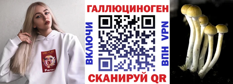 ссылка на мегу   Евпатория  Псилоцибиновые грибы Psilocybine cubensis 